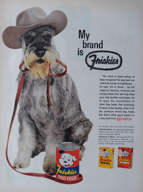 1961 Friskies Dog Food Ad ~ Cowboy Schnauzer