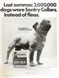 1967 Vintage Sergeant's Sentry Flea Collar Ad ~ Pug Dog