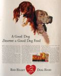1939 Red Heart Dog Food Ad ~ English, Irish Setter