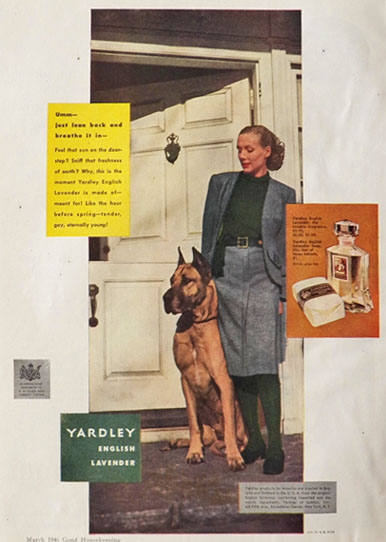 1946 Yardley English Lavender Ad ~ Woman with Great Dane Photo