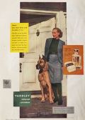 1946 Yardley English Lavender Ad ~ Woman with Great Dane Photo