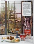 1927 Carnation Milk Ad ~ Contented Cows