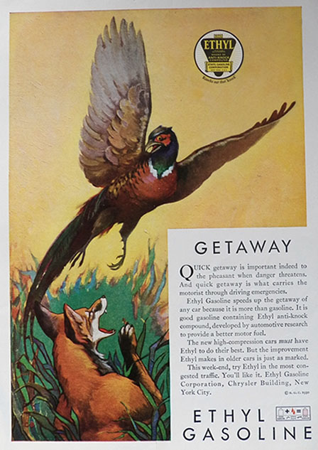 1930 Ethyl Gasoline Ad ~ Fox & Pheasant