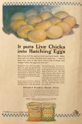1925 Purina Hen Chow & Chicken Chowder Ad