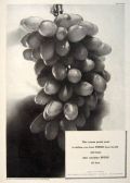 1935 Spud Cigarettes Ad ~ Fresh As Grapes