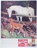 1946 White Horse Whiskey Ad ~ Horse with Fawn