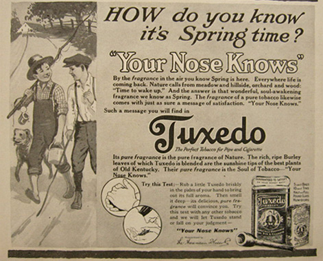 1917 Tuxedo Tobacco Ad ~ Your Nose Knows