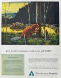1959 Weyerhaeuser Timber Ad ~ Beaver ~ Bruce Bomberger
