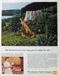 1957 Weyerhaeuser Timber Co. Ad ~ Fox Family ~ Stan Galli