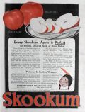 1916 Skookum Apples Ad ~ Protected By Sanitary Wrappers