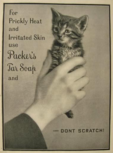 1905 Packer's Tar Soap Ad ~ Hand Holds Kitten