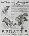 1926 Spratt's Dog Cakes Ad ~ Boston Terrier Dog