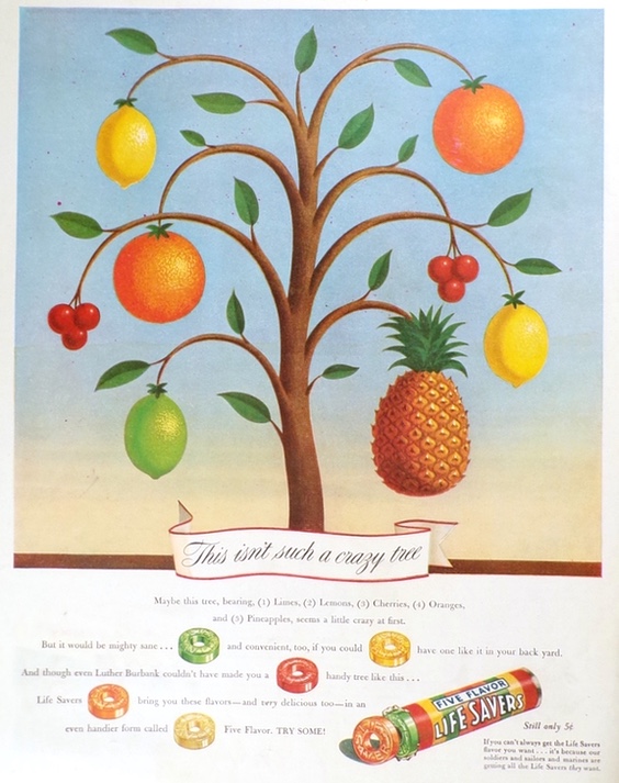 1943 Lifesavers Candy Ad ~ Crazy Fruit Tree