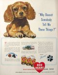 1943 Red Heart Dog Food Ad ~ Cocker Spaniel Puppy