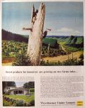 1958 Weyerhaeuser Timber Co. Ad ~ Pileated Woodpecker