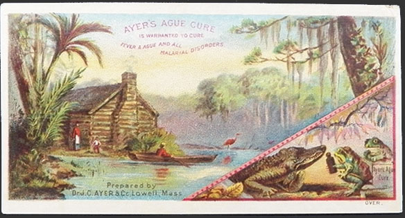 Ayer's Ague Cure Tonic ~ Victorian Trade Card ~ Frogs, Gator