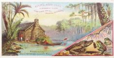 Ayer's Ague Cure Tonic ~ Victorian Trade Card ~ Frogs, Gator