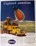 1947 White Trucks Ad ~ Hawaiian Pineapple Company