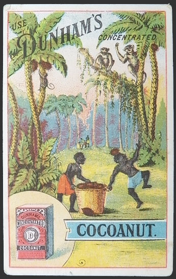 Dunham's Cocoanut Victorian Trade Card ~ Monkey Drops Coconut
