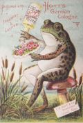 Hoyt's COlogne Victorian Trade Card ~ Frog on Toadstool