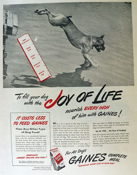 1947 Gaines Dog Food Ad ~ Boxer Dog