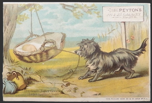 Dog Rocks Cradle ~ Victorian Trade Card