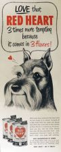 1952 Red Heart Dog Food Ad ~ Schnauzer