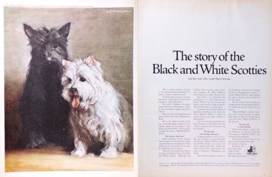 1968 Black & White Scotch Ad ~ Story of the Scotties