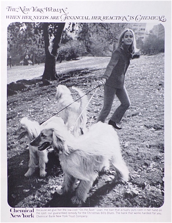 1967 Chemical Bank Retro Ad ~ Afghan Hounds