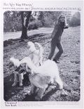 1967 Chemical Bank Retro Ad ~ Afghan Hounds