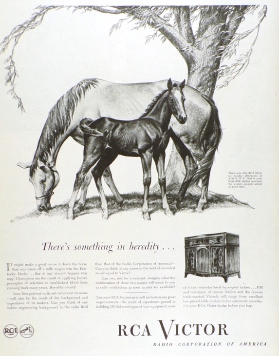1945 RCA Radio Ad ~ Mama Horse with Foal