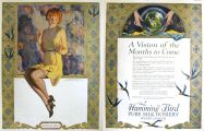 1925 Hummingbird Silk Hosiery Ad ~ Hayden Hayden