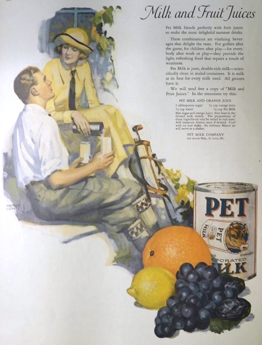 1924 Pet Milk Ad ~ Milk & Juice Beverage Recipe