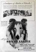 1945 Son of Lassie Movie Ad