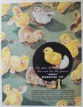 1935 Bon Ami Cleanser Ad ~ Lots of Baby Chicks