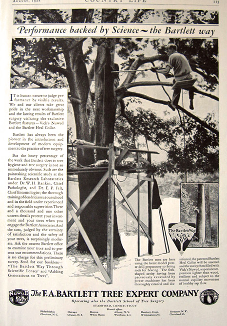 1928 Bartlett Tree Surgery Photo Ad