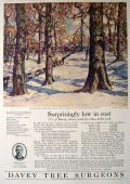 1928 Davey Tree Surgeons Ad ~ Frank Swift Chase