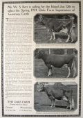 1924 Oaks Farm Guernsey Cattle Ad ~ Cohasset, MA