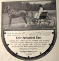 1907 Kelly Springfield Tires Ad ~ Horse Drawn Carriage