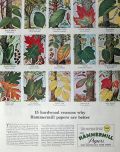 1957 Hammermill Papers Ad ~ Tree Identification