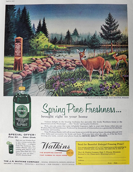 1957 Watkins Disinfectant Ad ~ Itasca State Park, MN