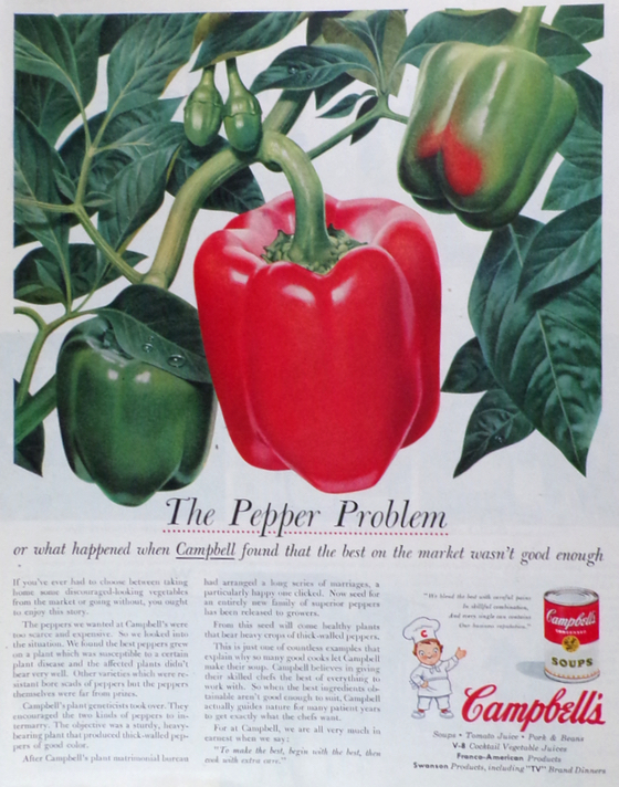 1956 Campbell's Soup Ad ~ New Superior Peppers