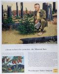 1956 Weyerhaeuser Timber Ad ~ Tillamook Burn