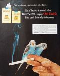 1954 Old Gold Cigarettes Ad ~ Blue Parakeets