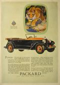 1927 Packard Automobile Ad ~ Tiger ~ Charles Livingston Bull