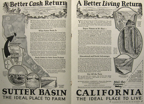 1924 Sutter Basin, California Land Sale Ad ~ Ideal to Live & Farm