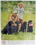 1961 Genesee Beer Ad ~ Black Lab Dogs