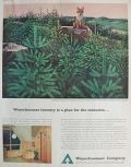 1961 Weyerhaeuser Forestry Ad ~ Red Fox, Stan Galli Art