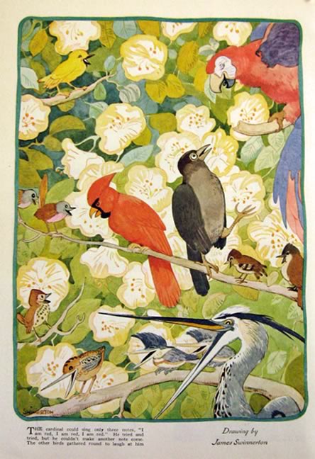 1930 James Swinnerton Print ~ Cardinal, Macaw, Blue Heron