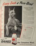 1944 Gaines Dog Food Ad ~ Great Dane